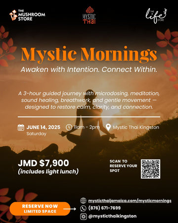 Flyer for Mystic Mornings wellness event at Mystic Thai Kingston featuring meditation, and lunch