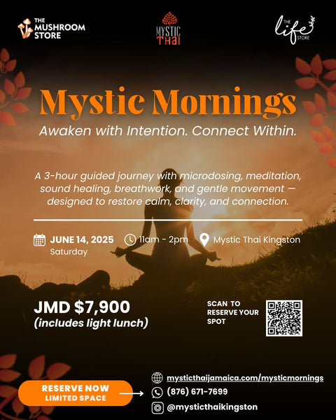 Mystic Mornings: A Restorative Wellness Experience to Reconnect, Realign & Rise