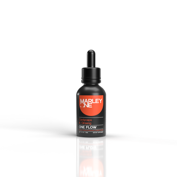 Cordyceps & Ginseng Extract - 6ct Pop Box