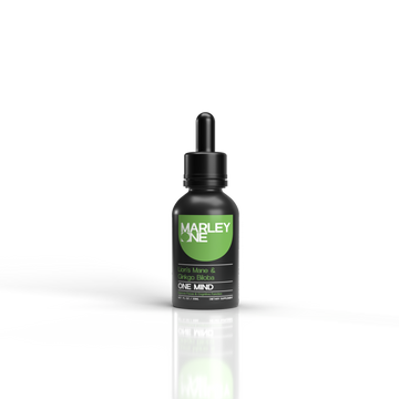 Lion's Mane & Ginkgo Biloba Extract