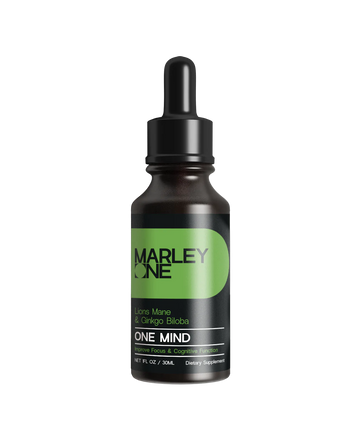 One Mind - Lion's Mane & Ginkgo Biloba